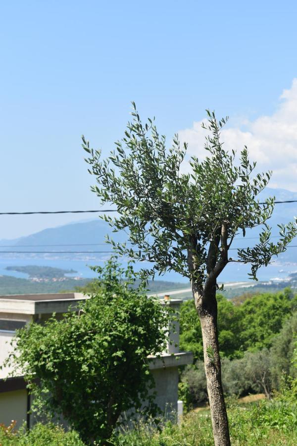 Apartment Macic Dub II Kotor Exterior foto